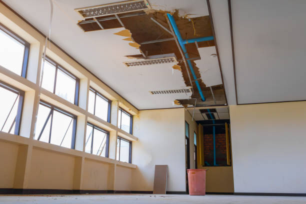 Best Water damage restoration near me  in Wytheville, VA