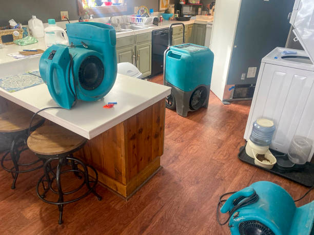 Best Water damage contractors near me  in Wytheville, VA