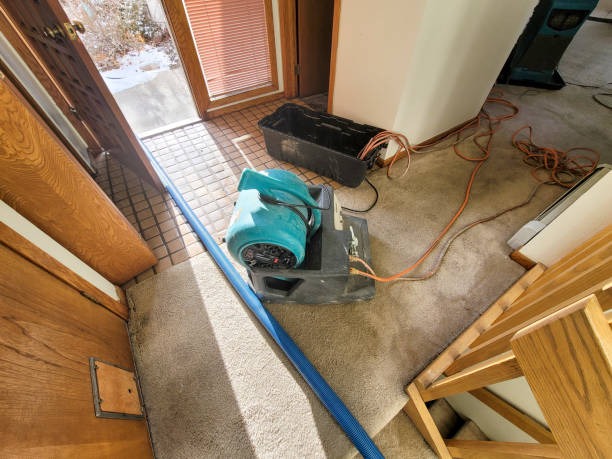 Best Local water damage restoration  in Wytheville, VA