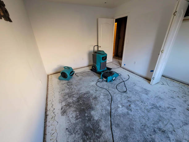 Best Water damage restoration insurance claims  in Wytheville, VA