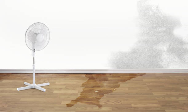Best Emergency water damage restoration  in Wytheville, VA
