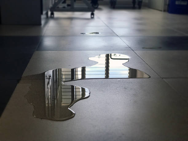 Reliable VA Water damage restoration Solutions