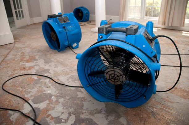 Water damage restoration insurance claims in VA