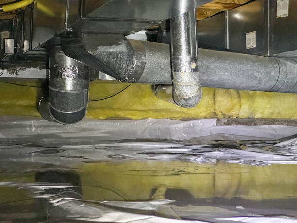 Best Local water damage restoration  in Wytheville, VA
