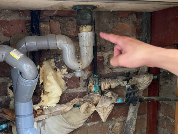 Best Ceiling water damage repair  in Wytheville, VA