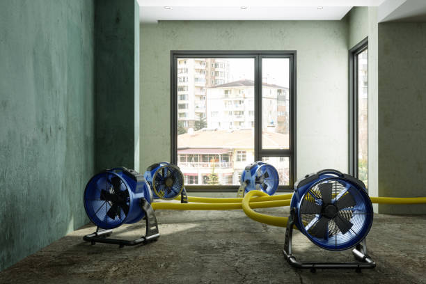 Best Carpet water damage restoration  in Wytheville, VA